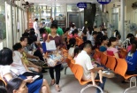 Thời của vắc xin quý như...vàng
